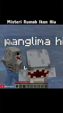 The Mystery of the Shark House