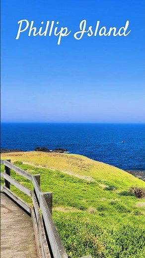 Why Everyone Loves Phillip Island! 🐧🌊