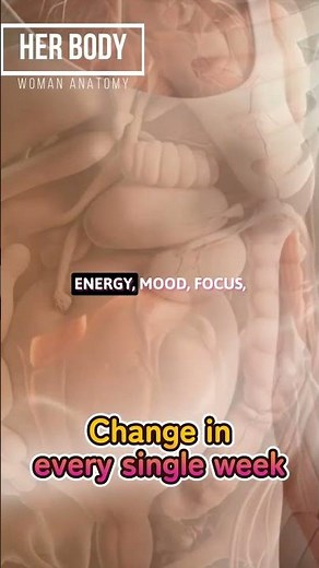 Woman’s Body: The Weekly Transformation | 3D Medical Animation #femalebody #hormones #periodfeatures