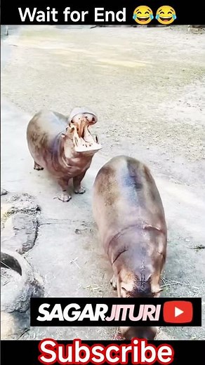 Hilarious Kannada Moment 😂 You Can't Miss #shorts #kannadacomedy #kannadafunny