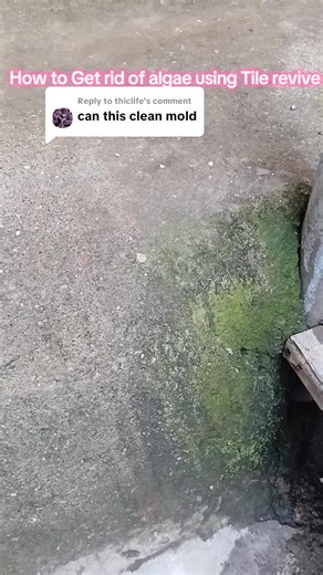 Replying to @thiclife “Does it remove mold?” Yes, it does. 💪🏽 In this video we’re removing mold buildup from bathroom tiles and grout, breaking down the dark stains and restoring the surface back to clean. Mold doesn’t just make your bathroom look dirty — it can also create bad smells and unhealthy conditions. With the right cleaning solution, your tiles and grout can look fresh again. ✨ 📩 DM to order Tile Revive Lavenda 0758805676 #MoldRemoval #GroutCleaning #BathroomCleaning #TileReviveLave