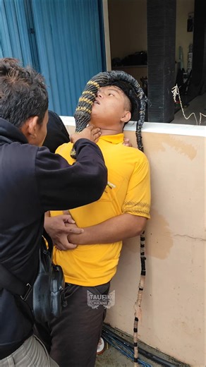 Terpaksa Diginikan‼️ Hanya Pawang Profesional #kudalumping #jaranan #viral