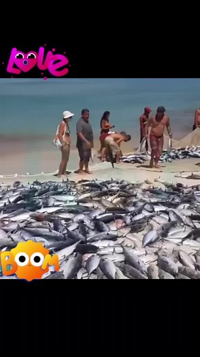 #pescaartesanal #arraialdocabo