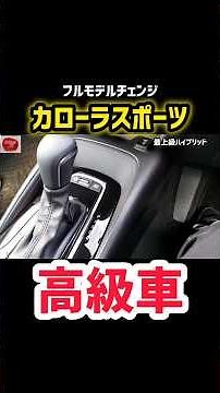 [Shocking Fact] The digital meter of the new Corolla Sport, which is the same as the Lexus RX, is...