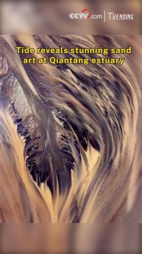 As the tide recedes at the mouth of the Qiantang River, east China's Zhejiang Province, stunning sand patterns emerge -- shaped by water, wind, and time. Under the golden glow of the setting sun, the riverbed transforms into what looks like a giant flowing sand painting, offering a breathtaking blend of art and nature. #Trending #SeeChina For more: https://english.cctv.com/ | CCTV