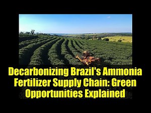 Decarbonizing Brazil's Ammonia Fertilizer Supply Chain: Green Opportunities Explained