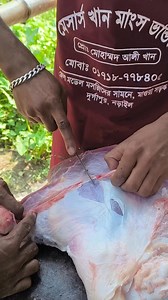 575 reactions | Beef Cutting Made Simple: A Guide for Beginners and Pros #meat #meatlover #meatballs #meatfree #meatlovers #meatlessmonday #meatball #meatless #meateater #meatloaf #meatporn #meats #meatsweats #meatismurder #meatfreemonday #meathead #meatpackingdistrict #meatheals #meatpacking #meaty #meatlessmeals | Gazi Sabbir Sharia | Facebook