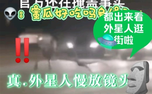 迈阿密（正面天龙人）外星人慢放镜头（建议反复观看）真爬行生物