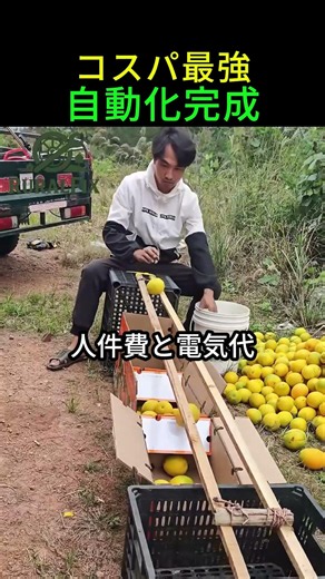 An Automatic Fruit Sorter Made Entirely Out of Scrap!?
