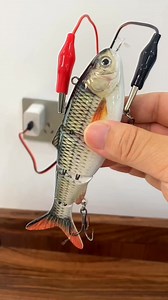 Electronic fishing lure fishing gear and tools #fishing #fishinggear #fishingaccessories #fishingtime #fishingvideos #fishinglife #fishingtackle #fishing #fishingtipshingtips #fishingaccessories | Thewishingrod.com