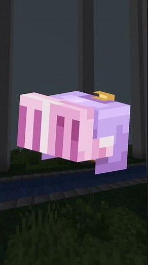 Making your DUMB Minecraft Skins (Day 6)