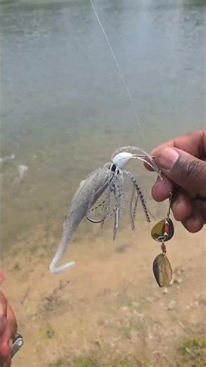 Free Food #fishing #fish #youtubeshorts #shorts #viral #video #foryou #fyp #subscribe #op #how #fun
