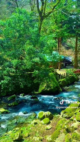 -Japan-永平寺- . . #絶景#お寺#永平寺#Japan #観光地#福井#Japantravel #パワースポット巡り