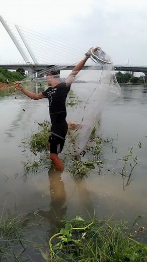 139K views · 1.8K reactions | Catching Fish Using Cast Net Fishing / Net Catch Fishing #Reels #fishing #skill #castnetfishing#fishtok #crab #ocean #giant #fish #fisherman #fishing #fishinglife #crabbing #shark #bigfish #sharkweek #boatlife #nature #science #boating #sushi #eel #santacruz #friendliestcatch #deadliestcatch #sustainable | Daily Discovery | Facebook