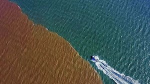 1.8K reactions · 66 shares | Dongying City, Shandong Province, where the Yellow River meets the sea, has one of the most complete, extensive and rich wetland ecosystems in China and is also a beautiful place to visit. Let's watch this video for more. #YellowRiverAdventures | CGTN | Facebook