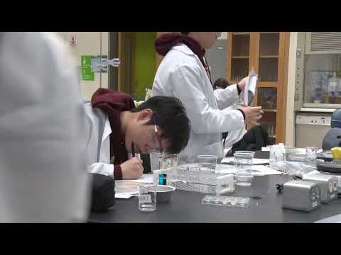 UMass Science Olympiad 2026