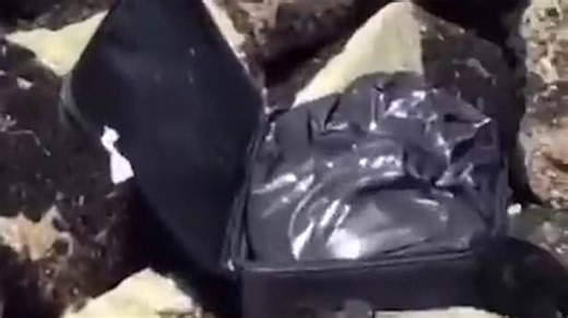 Teens document finding suitcase full of human body parts on TikTok