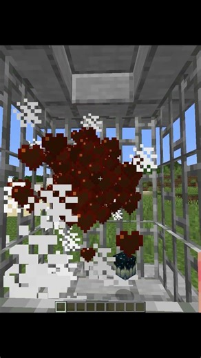 Minecraft Secret Command Moment💀