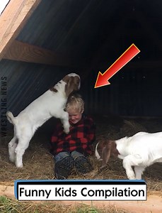 11K views · 232 reactions | Funny Kids Compilation | Wrestling News | Facebook