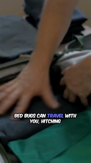 Bed Bug Facts Revealed