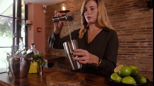 Mixology & Craft 16-Piece Stainless Steel Cocktail Shaker Set, 24 oz Cobbler Martini Shaker, Mixology Bartender Kit with Strainer, Travel Cocktail Kit in Gift-Ready Tube, Bartending Bar Kit Tools