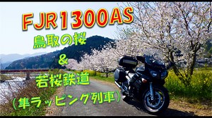 FJR1300AS 鳥取の桜 ＆ 若桜鉄道 （隼ラッピング列車）