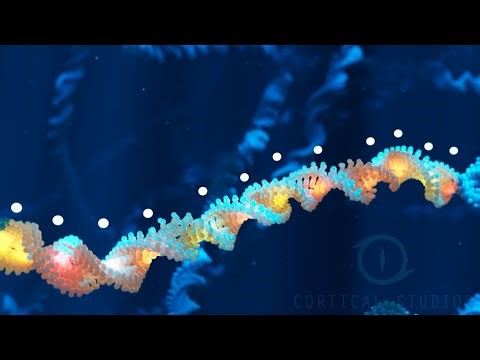 Showreel 2025 - Cortical Studios | MoA animations