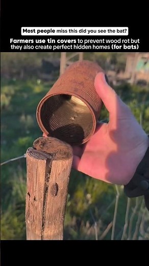 Why Farmers Put Hats on Fence Posts 🤯