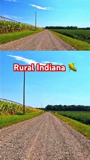 🇺🇸 Peaceful Indiana Country Roads | Rural America Drive #shorts