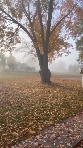 24 reactions | “To everything there is a season, and a time to every purpose in Heaven.” Ecclesiastes 3:1 癩 | Berlin Farmstead Restaurant | Facebook