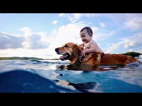 Hero Dog Rescues Toddler from Flooded Pool! 🐶