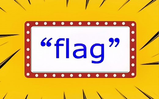 “flag”是什么意思？_哔哩哔哩_bilibili