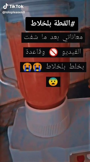 Funny Cat Blender Prank Compilation