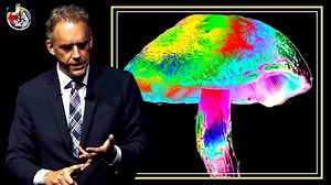 43K views · 1.4K reactions | The Mystical Experience Produced by Psilocybin | Dr Jordan B Peterson | Facebook