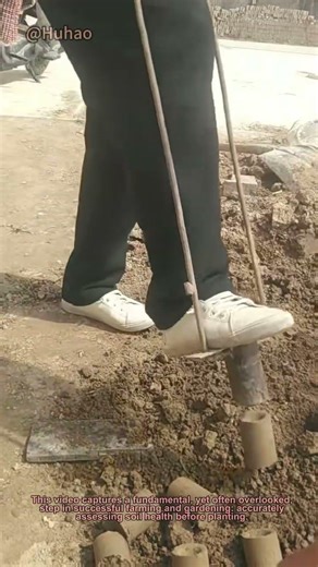 How to Take Perfect Soil Samples for Farming | DIY Soil Testing Guide #Shorts