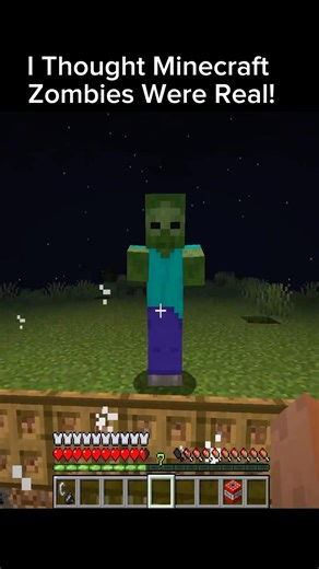 Minecraft Zombie vs Trap..😨