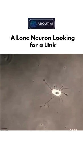 All About AI | News | Trends | Updates | Tools on Instagram: "A single neuron. No network. No signal. Just potential. 🧠✨ Every thought, memory, and idea starts this way — one neuron reaching out, searching for a connection. Before intelligence becomes visible. Before learning begins. This is how minds are built. Not all at once — but link by link. Whether it’s the human brain or artificial intelligence, growth starts with connection. And sometimes, the smallest link changes everything. 💬 What’