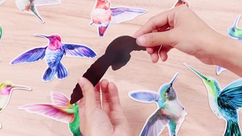 Xuhal 12 Pcs Car Magnets Hummingbird Butterfly Magnets for Refrigerator Fridge Summer Car Magnetic Sticker Summer Spring Decorations for Fridge Garden Office Home Garage(Hummingbird)