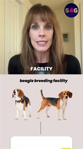Alexandra Paul: How We Rescued 1,500 Beagles from Ridglan Farms