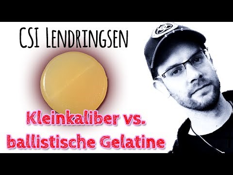 Kleinkaliber vs. ballistische Gelatine - CSI Lendringsen