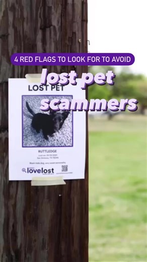 4.9K views · 21 reactions | YES — you can search for a lost pet online without getting scammed.  Using a free lost pet database, like Petco Love Lost, can protect your contact information from scammers. When you report your pet missing on PetcoLoveLost.org, we create a free page about your lost pet that you can quickly and easily share to Facebook, Neighbors, Craigslist or Nextdoor. | Petco Love Lost | Facebook