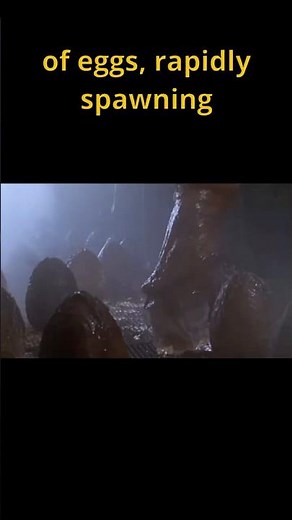 ALL HAIL THE QUEEN Xeno - Every Xenomorph Explained