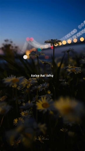 Koi bole dariya hai || Isq Risk || Rahat Fateh Ali Khan || Lyrics Video ||#trending#shorts#viral#new