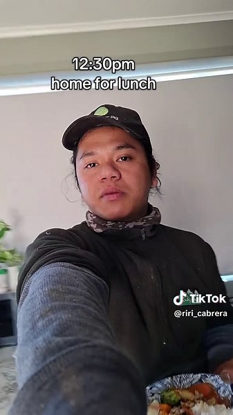 Daily Routine of a Dairy Farmer in New Zealand