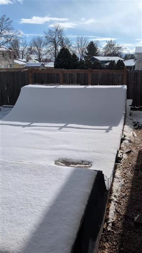 Enjoying the First Snowfall in Colorado