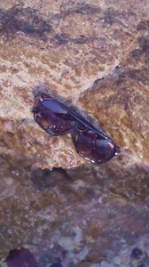 93 reactions | Bereit für Sonne, Strand und Style? Dann fehlen Dir nur noch die richtigen Shades. Finde Deinen Summer Look jetzt bei Edel-Optics!  | Edel-Optics | Facebook