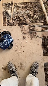 89K views · 15K reactions | abandoned car collection in Gary, Indiana | Decayingmidwest | Facebook