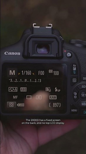 What Is the Screen on the Canon 2000D Like?