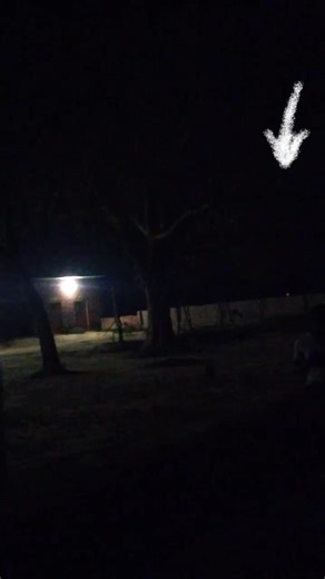 #horror scene in primary school.