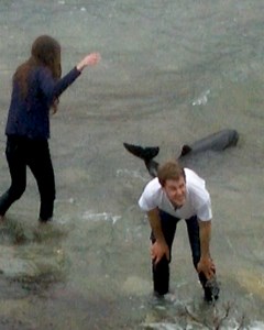 2.8M views · 10K reactions | Des passants repèrent un dauphin en difficulté et bravent les eaux froides et les rochers glissants pour l'aider  ❤️. | Newsner Français | Facebook